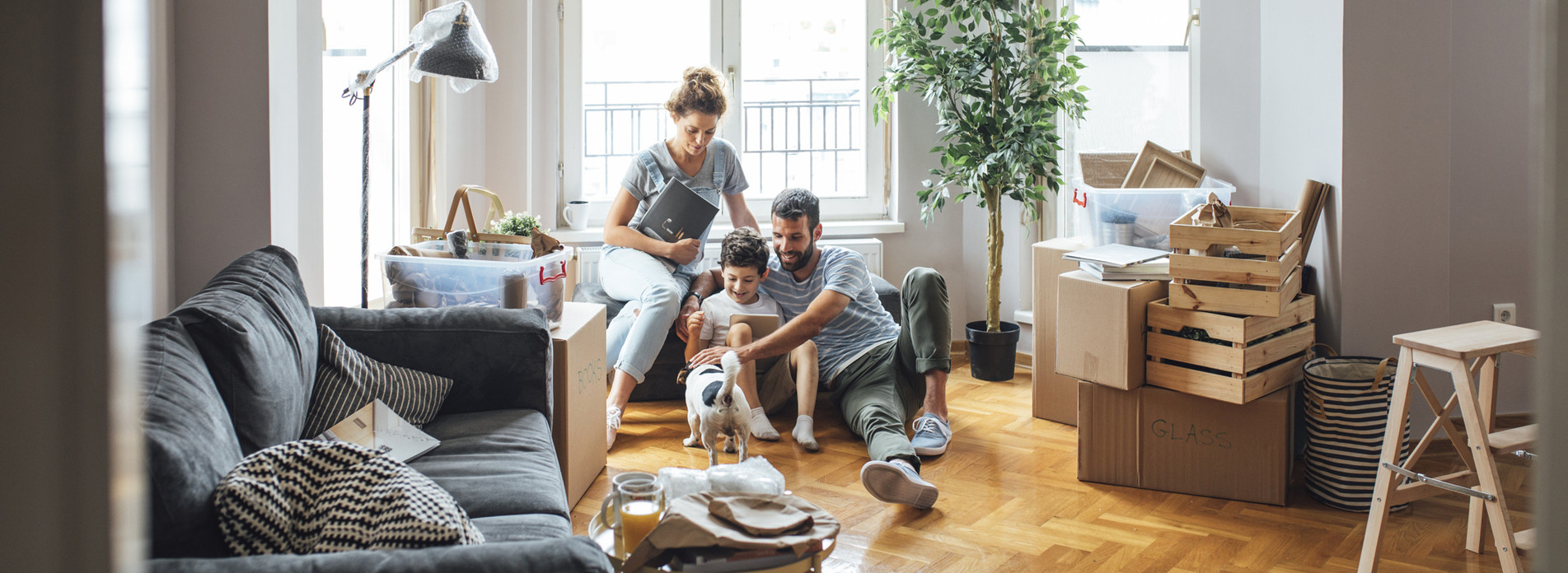 THP MULTI à WITTELSHEIM, membre du réseau expert Vachette